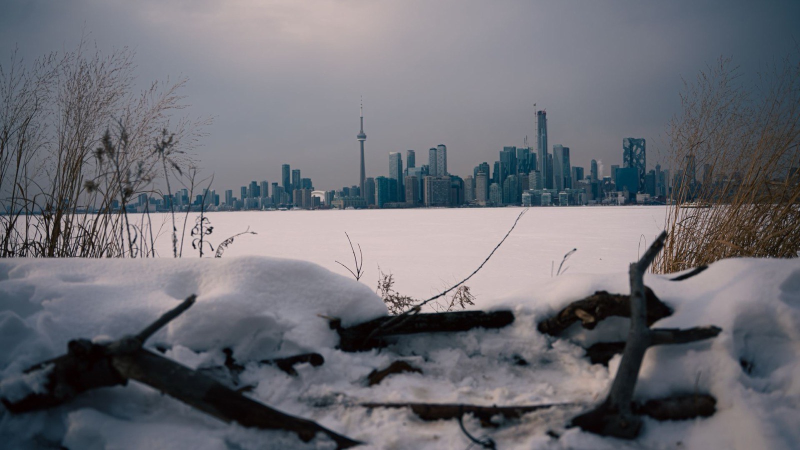 The Toronto skyline with the CN Tower, seen across a frozen, snow-covered lake in winter