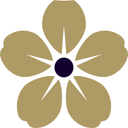 Caring Homes
